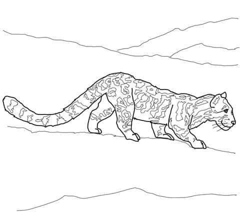 Clouded Leopard Coloring Page